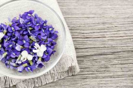 Syrup of Sweet Violets Recipe Image